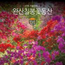 삼천1동-03(삼천도서관 주차장내) | 완산칠봉꽃동산 겹벚꽃 명소 실시간 4/21