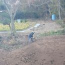 부성농장 이미지