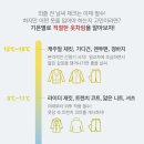 옷-차림 티스토리