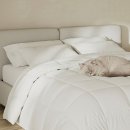 주식회사하얀 이미지