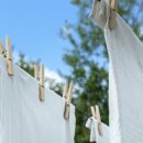 일류세탁소 이미지