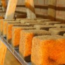 오덕목장 이미지