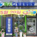 워시큐 머니투데이