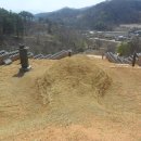 김잠 묘 네이버블로그