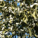 가평삼성의원 이미지