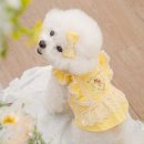 러브멍멍 이미지