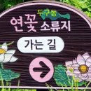소류지공원(1) 이미지