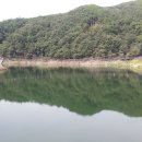 청양칠갑산구기자