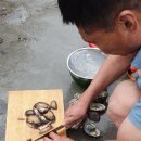 대청민박 이미지