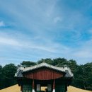 지영이네 활어 이미지