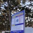 대천해수욕장 국민여가캠핑장(1지구) 이미지