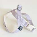 팔레트멍 이미지