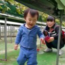 주혁농장 Daum카페