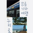 동대구 | 사계절 내내 예쁜 동해 바다 오션뷰 기차여행 | 누리로 강릉-동대구 후기