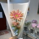 사하라블라썸