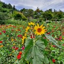 궁촌목장 이미지