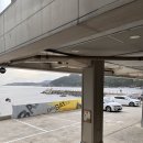 남나리전복 | 기장 전복죽 남나리 어떨까 내돈내산