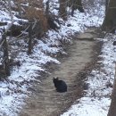 독바위역 티스토리