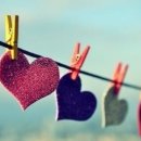 재운농장 이미지