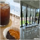 제주김귤