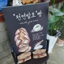 경남 함양 천연발효 베이커리카페 건강한 빵집 추천 :: 할량 함양점 내돈내산 후기 함양여행