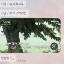 다모아제과 이미지