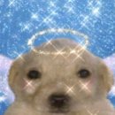 우등