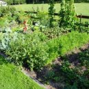 [제3회 서울도시농업박람회] 도시농업을 배워보자! 이미지