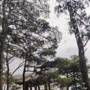 예당천연염색