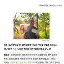 키자미테이블