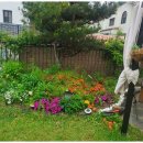 피츠로이가든 이미지