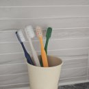 스탠다드 글로벌 (주) | 칫솔추천 스탠다드145 브리즈온 윈드홀 바람칫솔