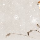 성균관대학교 국정관리대학원 이미지