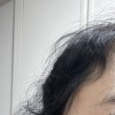 라벨제이 | 대전 유성 미용실 빌드펌 컷 제이라벨헤어 후기