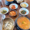 제주스강남고속