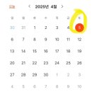 비놀릭스위트 이미지