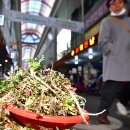 나도 과학실험맨(B) 이미지