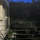 네모스테이 | 스테이네모 게스트하우스 후기_비추