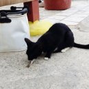 모래실펜션 이미지