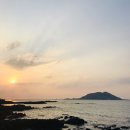 세무법인제일 이미지