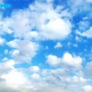 My blue heaven(나의 푸른 창공) 이미지