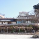 라몬타냐 화덕피자 라자냐 강릉 레스토랑 맛집