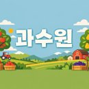 과실작물 재배업 - 산청군 백운로51번길 26 | 과실작물 재배업