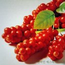 천지인에스테틱 - 통영시 | 천지인에스테틱