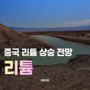 노랑풍선분당