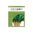 산천몰