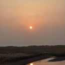 🌅 부산 다대포 &amp; 창녕 만년교와 우포늪 🌸 이미지