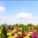 계양구 아라온 25.10.19 이미지