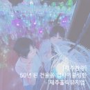 &#39;제주홀릭뮤지엄&#39; 50년 건물의 환골탈태! 제주 감성 폭발하는 전시