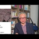 제4회 DIMA 디카시작품상_ 박해경 시인의 디카시 [만선] 이미지